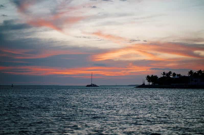 Captain's Choice: Dolphin Watch Sunset Sail - Searching open water for dolphins