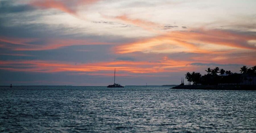 Captain's Choice: Dolphin Watch Sunset Sail - Tapas, shrimp cocktail, and drinks onboard