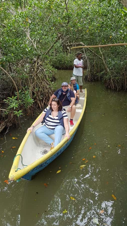 Cartagena: Private Sail in the mangrove GUIDE in ENGLISH - Booking advice for a smoother day