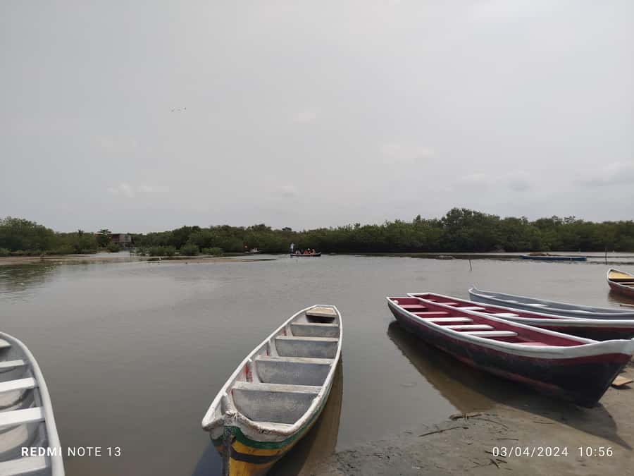 Cartagena: Private Sail in the mangrove GUIDE in ENGLISH - English guiding and communication