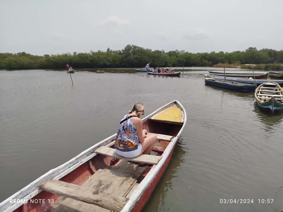 Cartagena: Private Sail in the mangrove GUIDE in ENGLISH - Who will enjoy this short nature outing