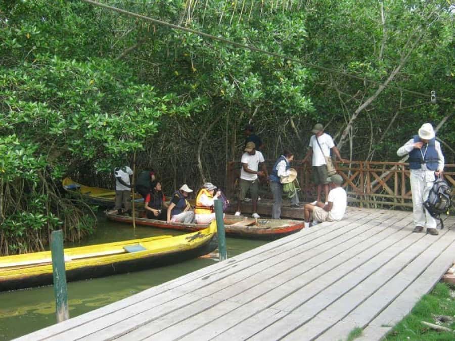 Cartagena: Sail in the mangroves of Cartagena - Smart planning for a better outing