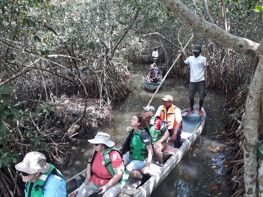 Cartagena: Sail in the mangroves of Cartagena - Starting near La Boquilla and Caribe Blue