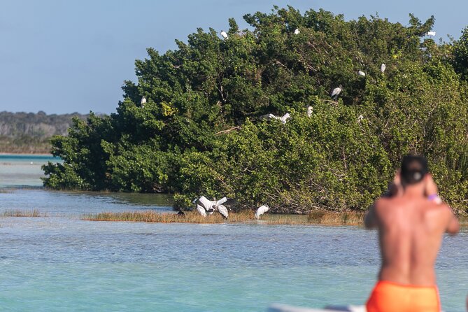 Catamaran Adventure: Sailing and Swimming in the Bacalar Lagoon - Getting to Casa China Bacalar
