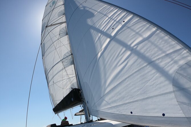 Catamaran Alghero, Catamaran Sailing Day Trip - Lunch, aperitifs, and Sardinian flavors