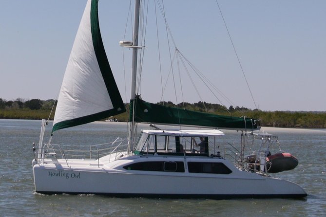 Catamaran Sailing Dolphin/Manatee Watch in Daytona Beach - Key points to know before you book
