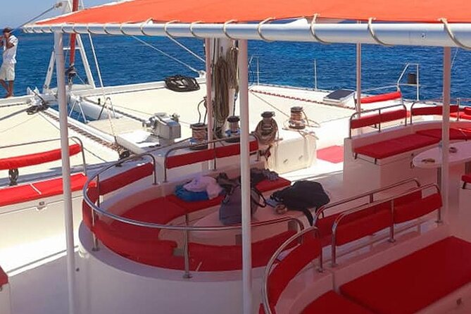 Catamaran Sailing Tour - First water stop: coral and colorful fish