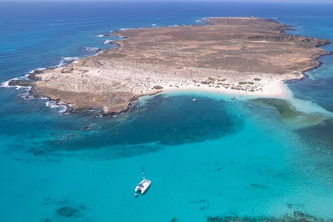 Catamaran Sailing Tour or Whale Watching at Boa Vista - Why this Boa Vista boat trip feels different