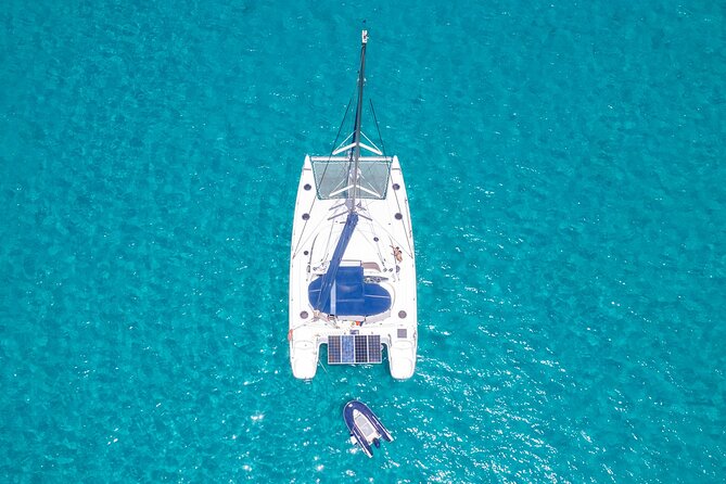 Catamaran Sailing Tour or Whale Watching at Boa Vista - Winter whale watching under sail
