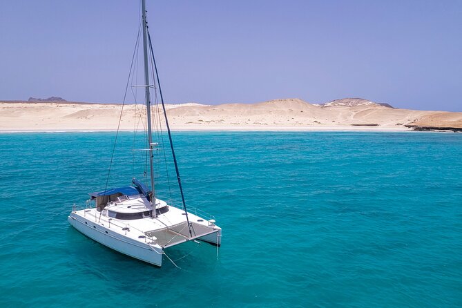 Catamaran Sailing Tour or Whale Watching at Boa Vista - Is $84.92 a fair price?