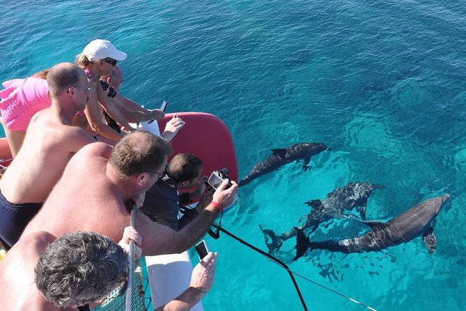 Catamaran Sailing Tour - Life aboard the Ocean Diva catamaran