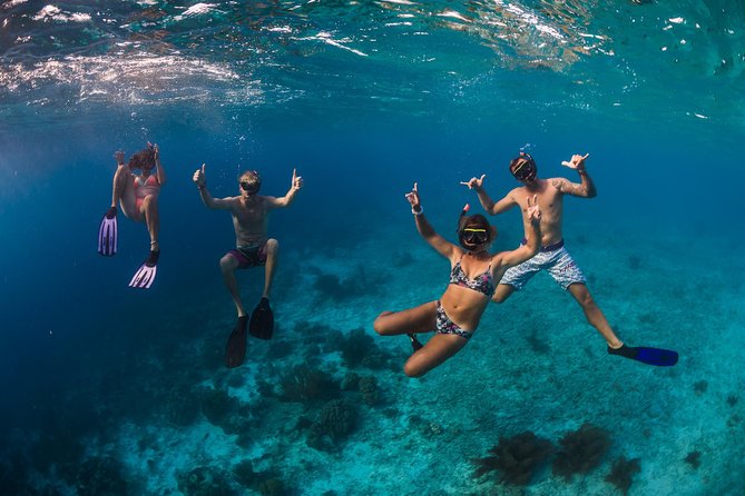 Catamaran Snorkel & BBQ Sail (cruise friendly) - Lunch from the onboard grill