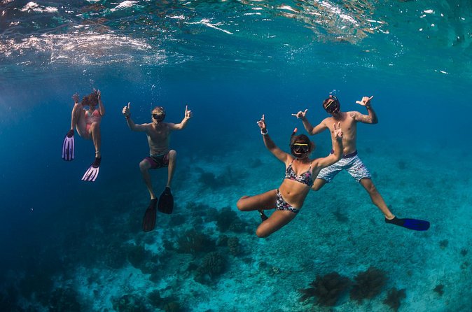 Catamaran Snorkel & BBQ Sail (cruise friendly) - Practical details that can save your day