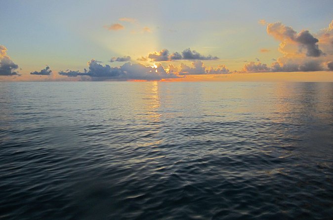 Catamaran Sunset Sail - Rum Swizzles and the Cash Bar