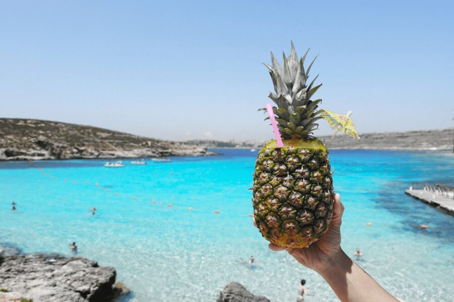 Celebration Sail - Lover’s Cave, Comino, Gozo & Blue Lagoon - Key Points Before You Book