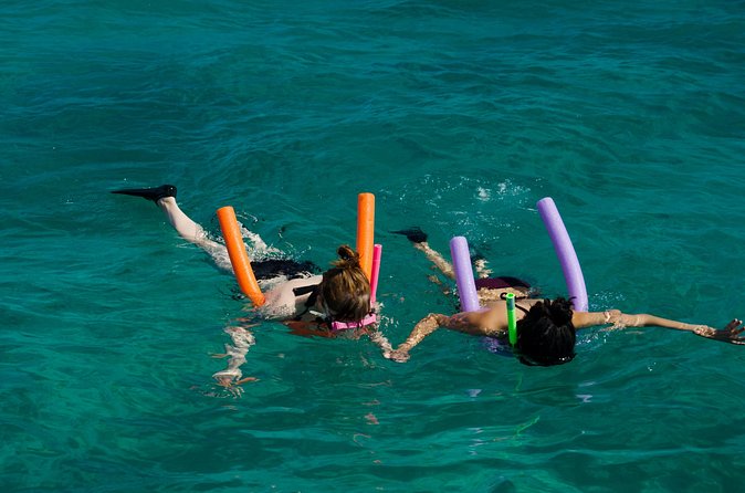 Champagne Dolphin Sail and Reef Snorkel - What the small group changes
