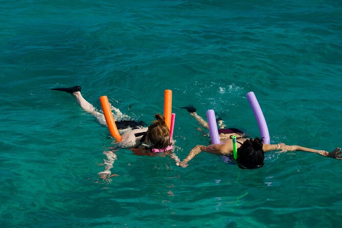 Champagne Dolphin Sail and Reef Snorkel - Is $108.91 a fair price?