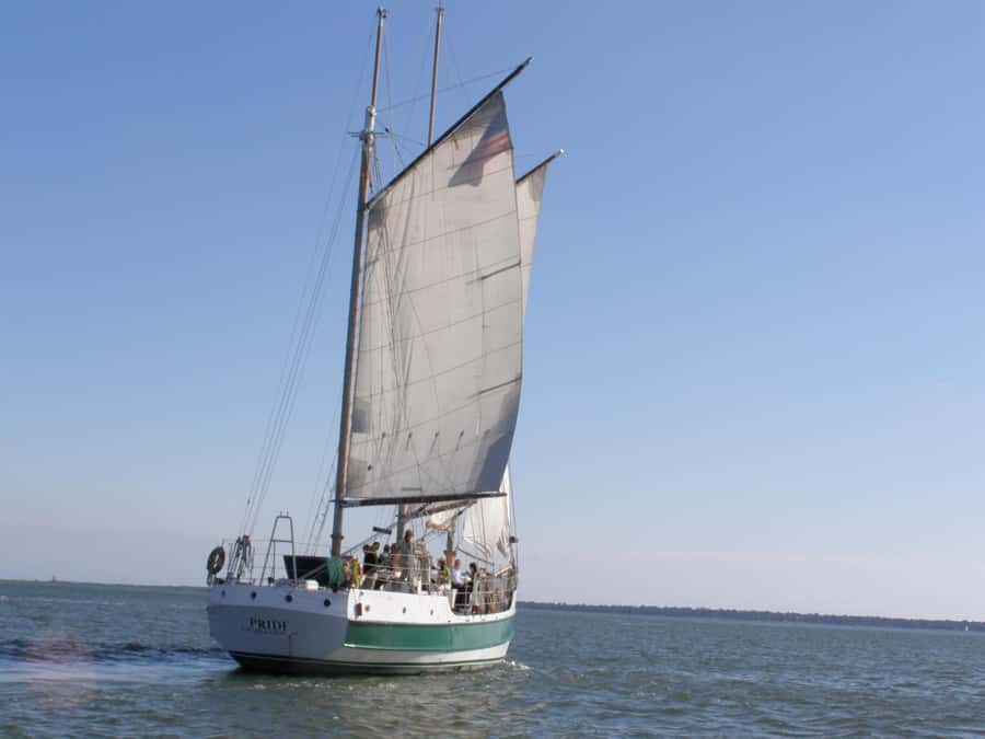 Charleston: Schooner Sailing Harbor Tour & Dolphin Watch - Raising the sails with the crew