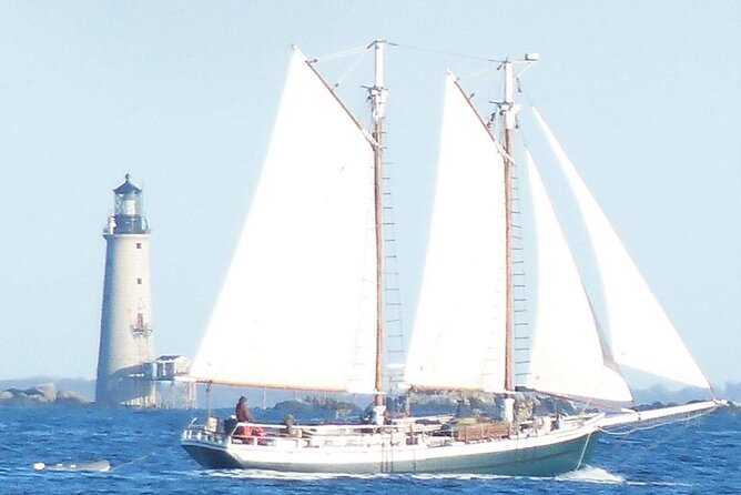 Classic Tall Ship Cruise in Boston Harbor - Lunch, Drinks, and Onboard Comfort