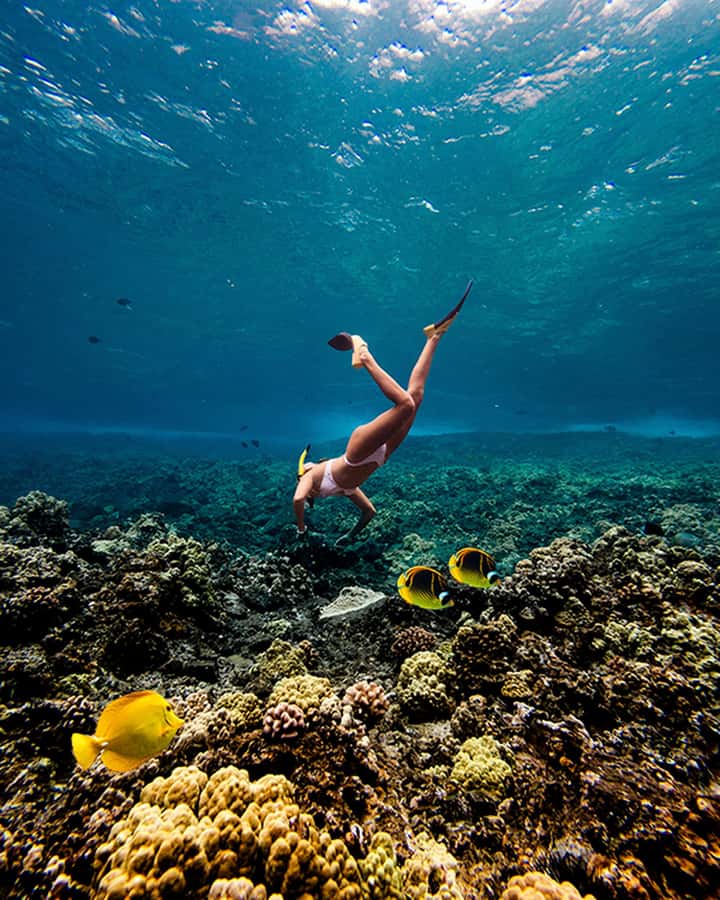 Coral Gardens Coastal Snorkel & Sail - FAQ