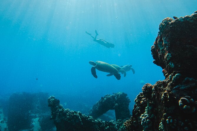 Coral Gardens Coastal Snorkel & Sail - Lunch, drinks, and time to relax
