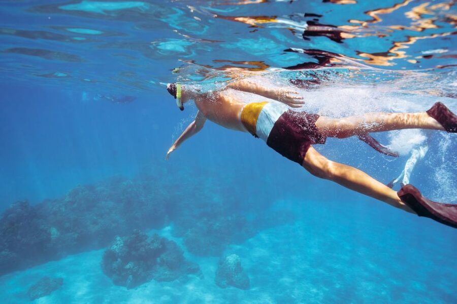 Coral Gardens Coastal Snorkel & Sail - Should you book Coral Gardens Coastal Snorkel and Sail?