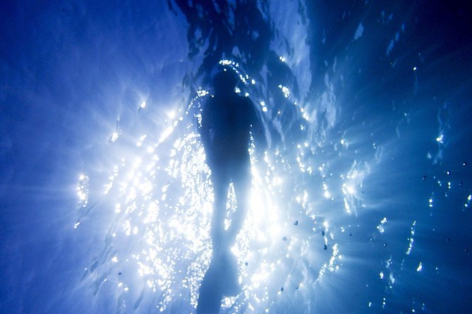 Coral Sea Dreaming Overnight Dive, Snorkel and Sail - Starting at Cairns Marlin Marina at 8 a.m.