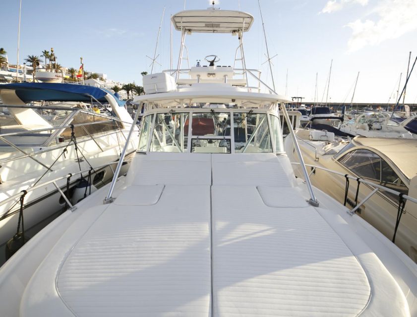 Costa Adeje: Private Yacht Sailing Tour from Puerto Colón - The practical details that matter