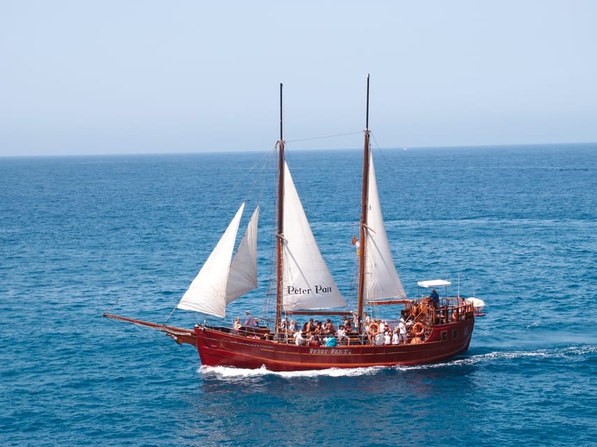Costa Adeje: Respectful Whale-Watching Sailboat Tour & swim - Watching pilot whales off Tenerife’s west coast