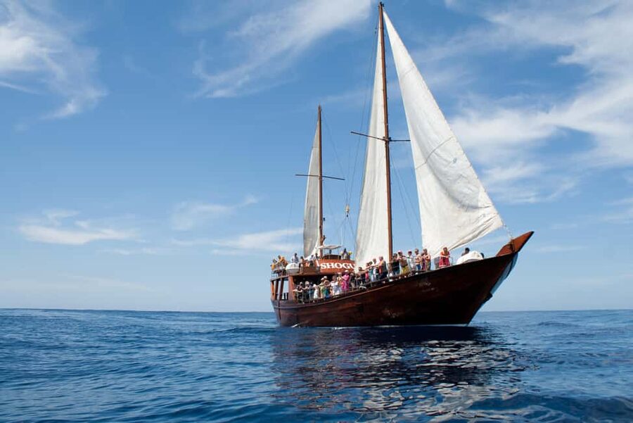 Costa Adeje: Respectful Whale-Watching Sailboat Tour & swim - Timing, transfers, and practical planning