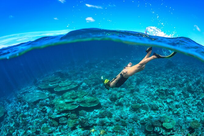 Cozumel Luxury Sailing & Snorkeling Cruise Experience - Two hours at Playa El Cielo