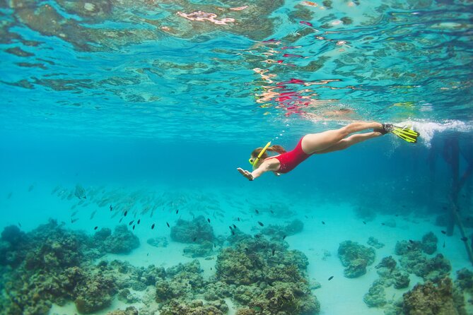 Cozumel Luxury Sailing & Snorkeling Cruise Experience - Group size, comfort, and safety