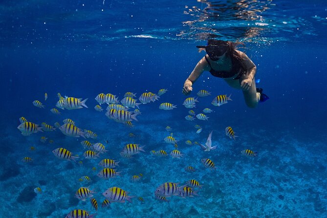 Cozumel Luxury Sailing & Snorkeling with Lunch and Open Bar Onboard - What the $139 price really covers