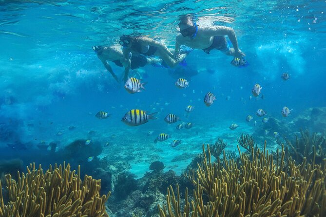 Cozumel Luxury Sailing & Snorkeling with Lunch and Open Bar Onboard - Boarding the catamaran in Cozumel
