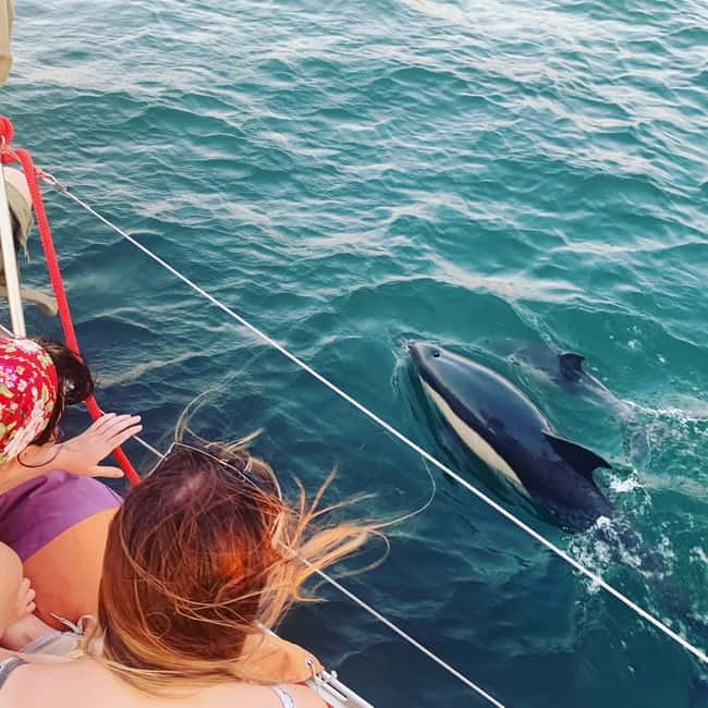Cultural Sailing Tour in Lisbon - Key points to know before sailing