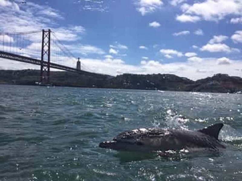 Cultural Sailing Tour in Lisbon - Public sailing versus a private group