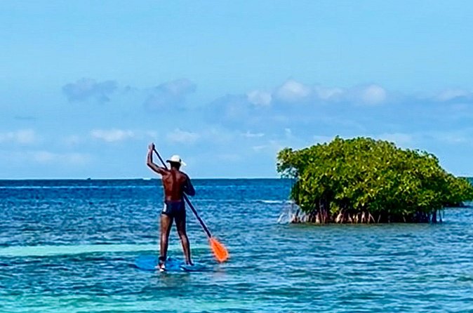 Day Lagoon 100% Sailing stops Snorkelling Paddle - Ilets de la Biche and the Mangrove Stop
