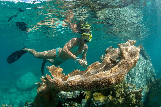Deluxe Half-Day Snorkel Sail on Lady Grace Luxury Catamaran - Is $189 a fair price?