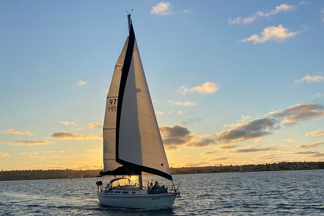 Deluxe Sunset & Day Sail Small Group - Sea lions, dolphins, and the living bay