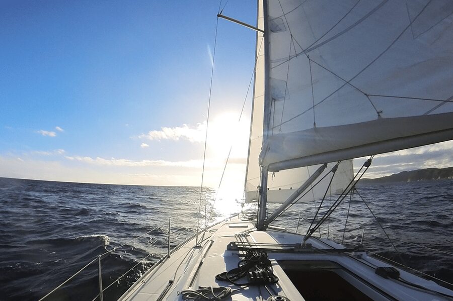 Denia: Sunset Electric Sailboat Cruise with Dolphin Spotting - Searching for dolphins and whales in open water