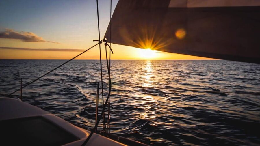 Denia: Sunset Electric Sailboat Cruise with Dolphin Spotting - What the $88 price really buys