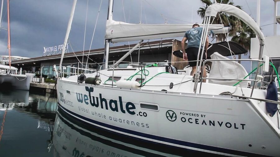 Denia: Sunset Electric Sailboat Cruise with Dolphin Spotting - Seasickness and who should skip it