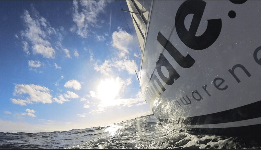 Denia: Sunset Electric Sailboat Cruise with Dolphin Spotting - A quiet route past Denia and Cabo de San Antonio