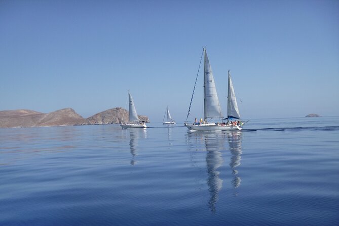 Dia island : Small Group Sailing Trip to Dia Island with Lunch - The one-hour sail to Dia Island