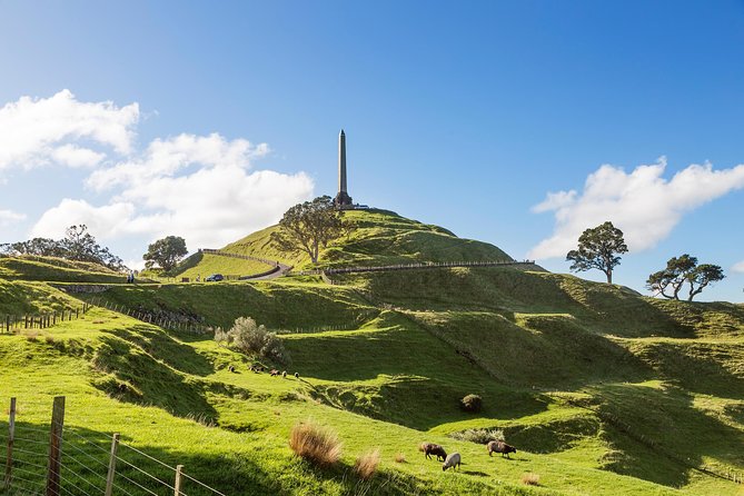 Discover Auckland City Tour: The City of Sails - Mount Eden and the best city panorama