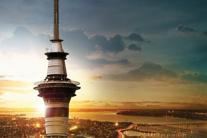 Discover Auckland City Tour: The City of Sails - What the guide adds