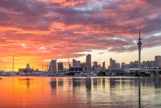 Discover Auckland City Tour: The City of Sails - How much value do you get for $108.60?