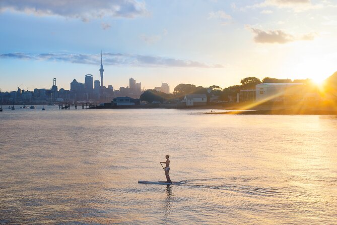 Discover Auckland City Tour: The City of Sails - From the waterfront to the Harbour Bridge