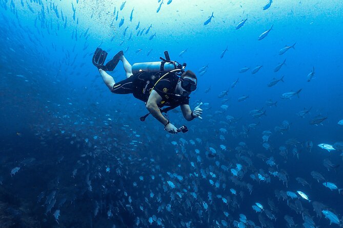 Diving Tour for Certified Divers: Sail Rock or Koh Tao - What is included once you reach the site