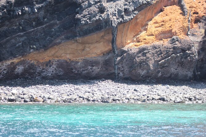 Dolphin and Whale Sailing Tour in Los Gigantes - Why the 10-person limit matters